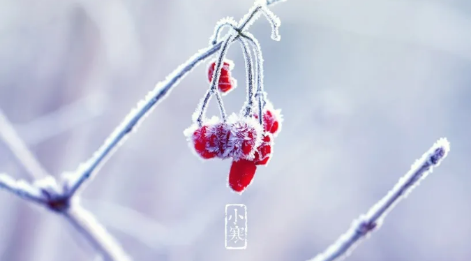 1610587402231467.png 1610587402231467.png