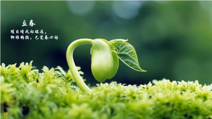 1612663900686787.png image.png