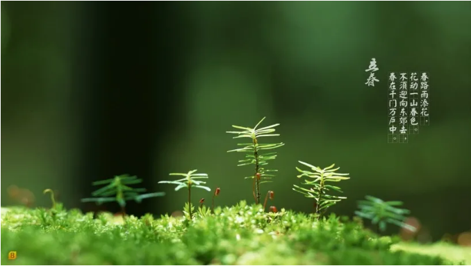 1612663921405875.png image.png