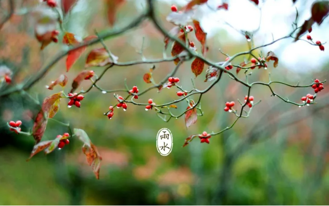 1615864515136466.png image.png